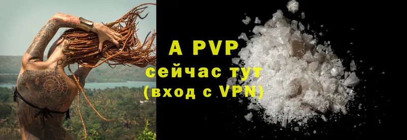 купить закладку  Лесной  Alfa_PVP крисы CK 