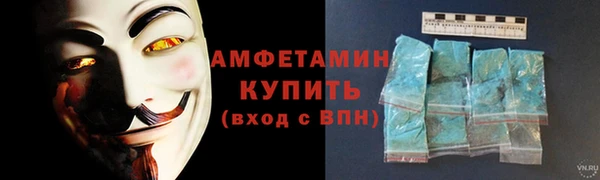 ПСИЛОЦИБИНОВЫЕ ГРИБЫ Вязники